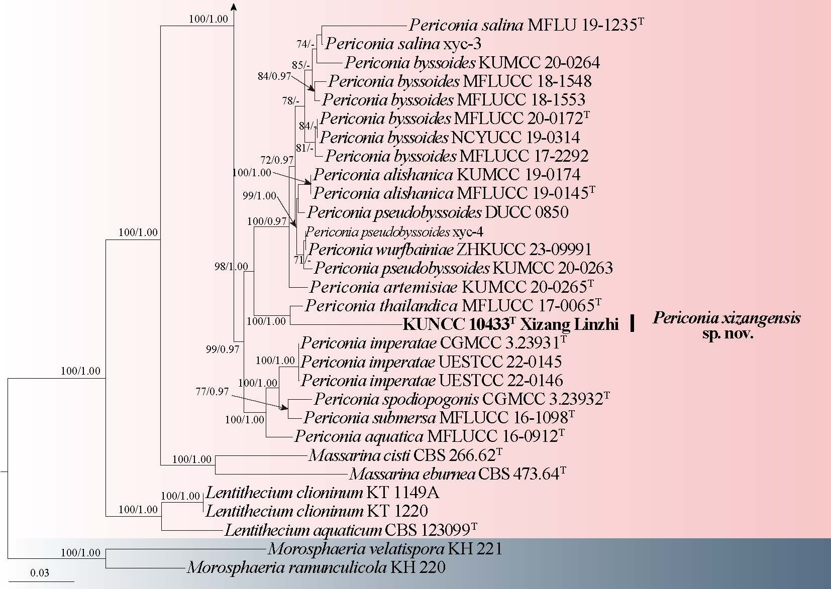 Figure 12